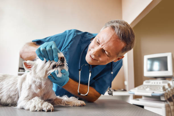 Best Weekend Emergency Dentist in Ashville, AL